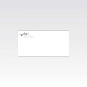 DL Envelope