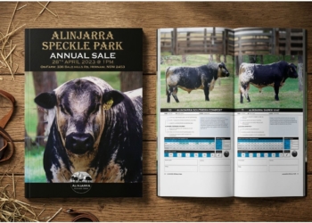 Bull Sales Catalogues
